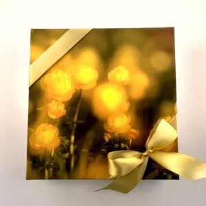 25 kommiga karp KULLERKUPP