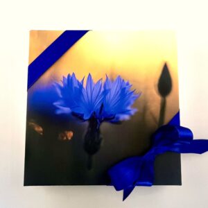 25 kommiga karp RUKKILILL