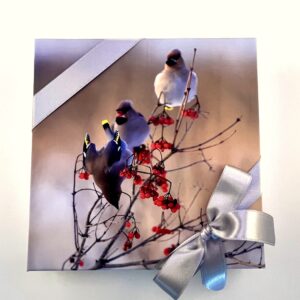 25 kommiga karp SIIDISABAD