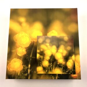 36 kommiga karp KULLERKUPUD