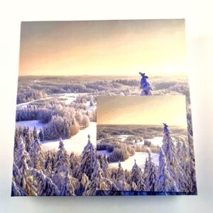 36 kommiga karp KUUSED