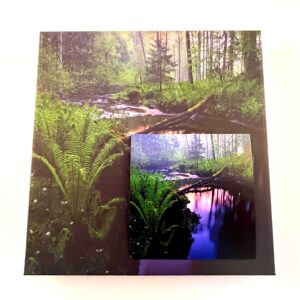 36 kommiga karp METSAOJA