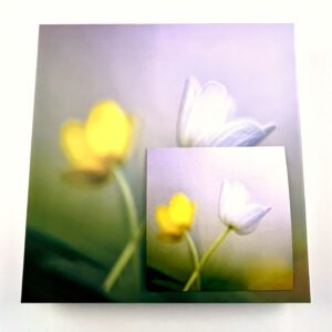 36 kommiga karp ÜLASED