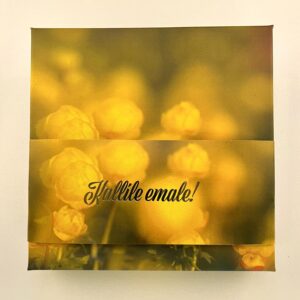 16 kommiga karp KALLILE EMALE! kullerkupud