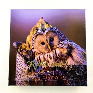 16 kommiga karp KALLILE ISALE! kakud