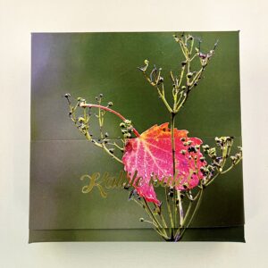 16 kommiga karp KALLILE ISALE! leht