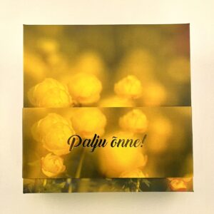 16 kommiga karp PALJU ÕNNE! kullerkupud