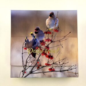 16 kommiga karp PALJU ÕNNE! siidisabad