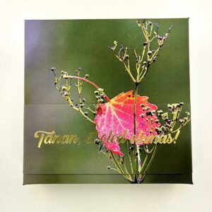 16 kommiga karp TÄNAN ET OLED OLEMAS! leht