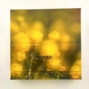 16 kommiga karp TÄNUGA! kullerkupud