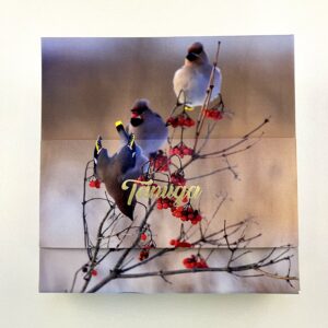 16 kommiga karp TÄNUGA! siidisabad