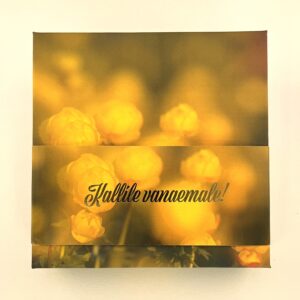 16 kommiga karp KALLILE VANAEMALE! kullerkupud