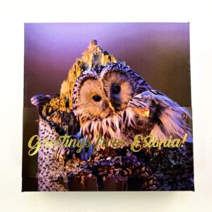 16 kommiga karp GREETINGS! kakk