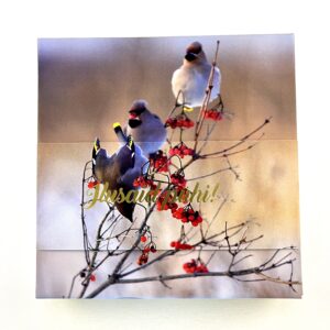 16 kommiga karp ILUSAID PÜHI! siidisabad