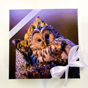 16 kommiga karp KAKUD