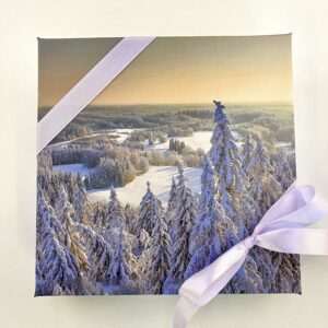 16 kommiga karp KUUSED