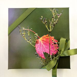 16 kommiga karp LEHEKE