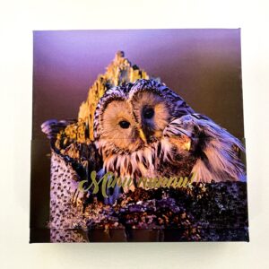 16 kommiga karp MINU NUNNU! kakud