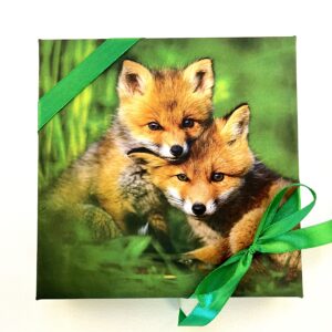 16 kommiga karp REBASED