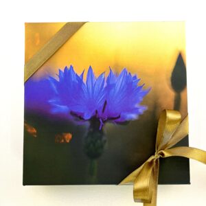 16 kommiga karp RUKKILILLED